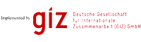 Giz-Logo